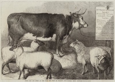 Prijs Koe en Schaap op de Bath en West of England Landbouwshow, Southampton door George Bouverie Goddard